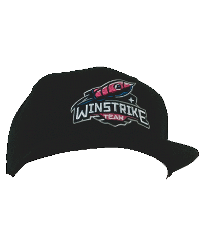Csgo Sticker by Winstrike Team