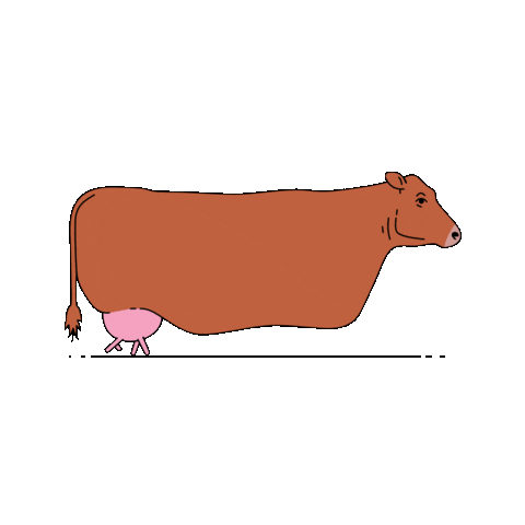 Walk Sticker