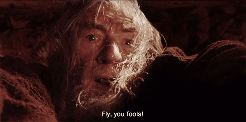 giphy.gif?cid=6c09b952ee7b2432bfc05b4ac8