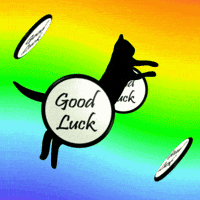 Best Wishes Success GIF