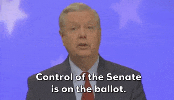 Lindsey Graham GIF by Election 2020