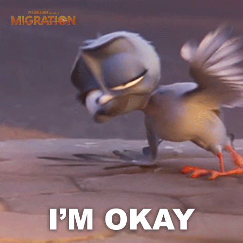 MigrationMovie duck marriage hurt pigeon GIF