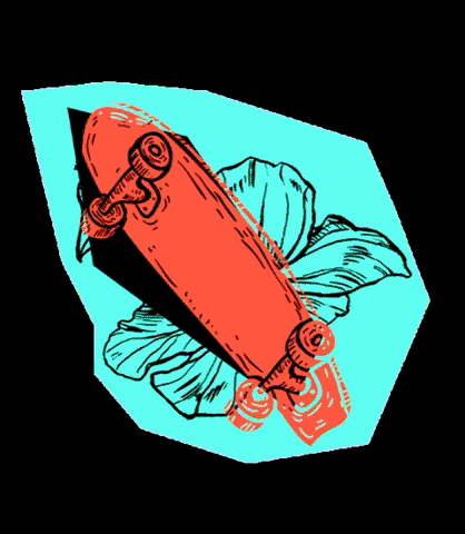 Skate Girl GIF by Loveboard