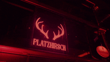 Platzhirsch Bielefeld GIF