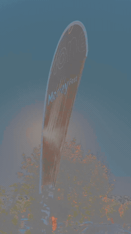 GIF by MoneyFest