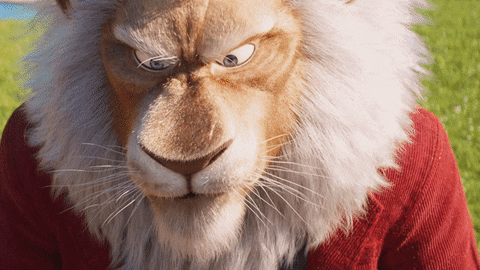 Lion-2-the-movie GIFs - Get the best GIF on GIPHY