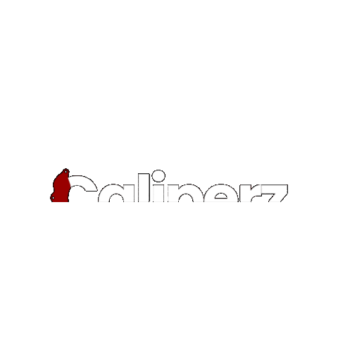 Caliperz Sticker