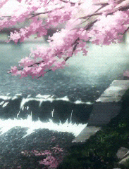 giphy.gif?cid=ecf05e47hs1cdi541yfj3iat1x