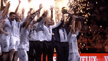 champions league handball GIF by EHF