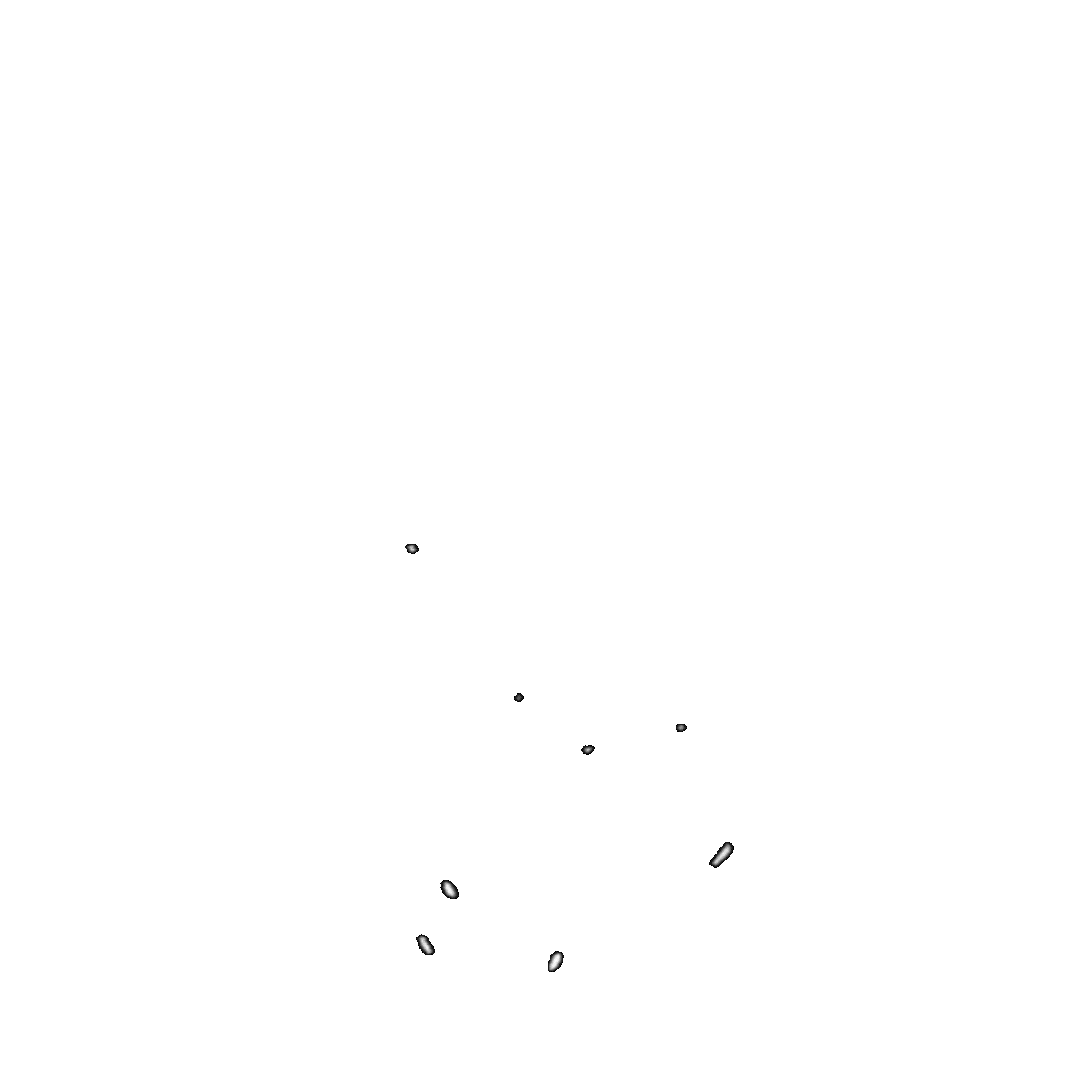 Animated Sticker