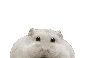 ハムスタ Sticker