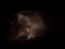 Count Your Blessings GIF by Bring Me The Horizon