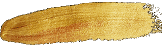Shampoo Sticker by YAO Cosmetics