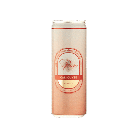 Sparklingwine Spritzer Sticker by Rava Wines