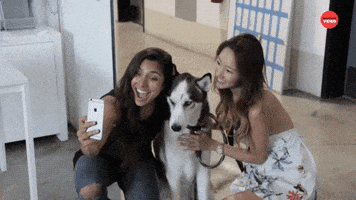 Dogs International Dog Day GIF by BuzzFeed