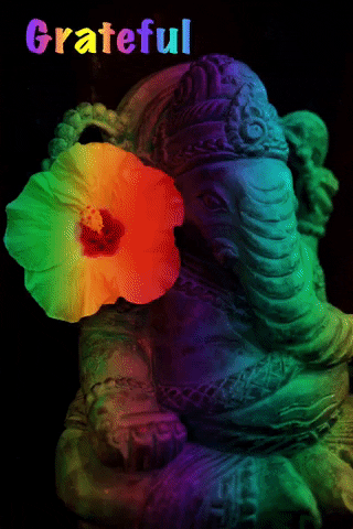 Rainbow Love GIF by Guided by Light Art