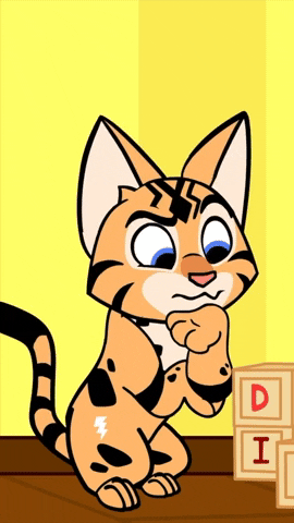 Cat Thinking GIF by The High Meows