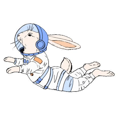 Festivalcinemajove Sticker by Cinema Jove