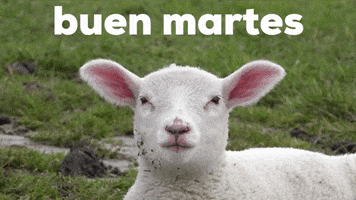 Buen Dia GIF by Sealed With A GIF