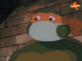 Tmnt GIF by Teenage Mutant Ninja Turtles