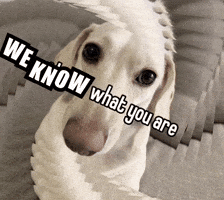 We Know GIF