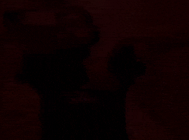 Dance Dancing GIF
