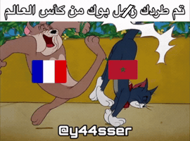 France Football GIF