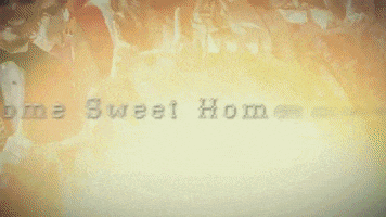 GIF by U Alumni