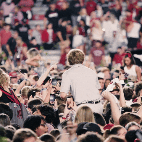 South Carolina Football GIF by Gamecock Athletics