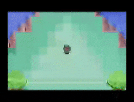Battling Pokemon Emerald GIF by Pokémon