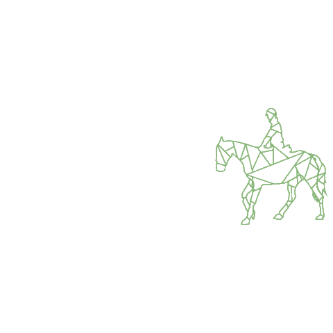 Informed Rider Coaching Sticker