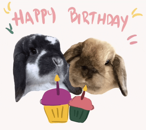 Birthday-rabbit GIFs - Get the best GIF on GIPHY