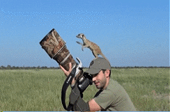 https://media4.giphy.com/media/ObbgfL43p6Vzy/giphy.gif?cid=ecf05e472voqhzo8gcxepnzr6t2y6z0oyybfczuv801eubfz&amp;rid=giphy.gif&amp;ct=g