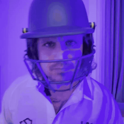 Cricket Bat GIF by Luke Westen