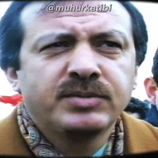 Reis Recep GIF