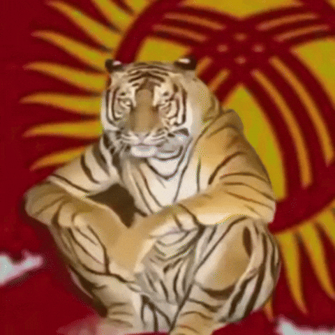Kyrgyz GIF by Customize iT