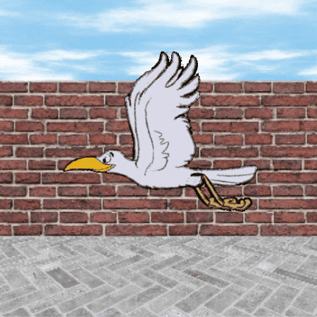 Bird GIF