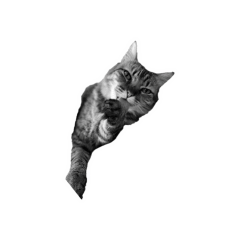 Oats Digital Sticker