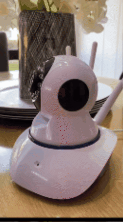 Animated GIF