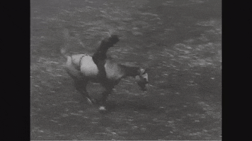 horseback riding vintage GIF by US National Archives