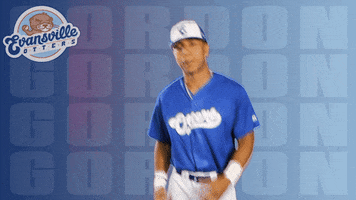 Baseball League GIF by Evansville Otters