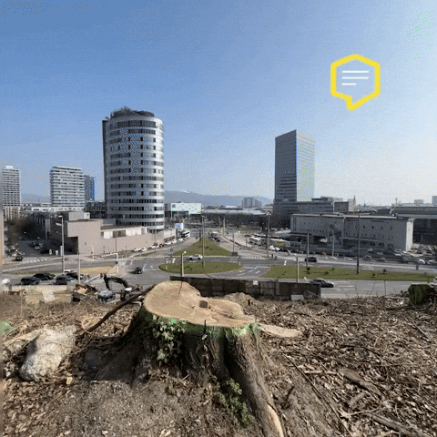 Tree Austria GIF by Linz News