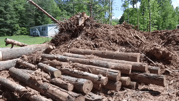Debris Clearing GIF by JC Property Professionals
