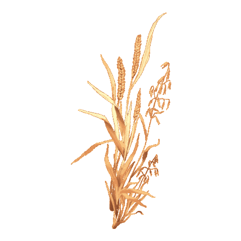 Full Circle Gin Sticker by fullcircledistillers