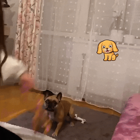 Dog Bulldog GIF