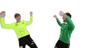 TV Birsfelden Sticker