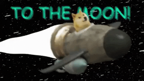 Dogecoin GIFs - Get the best GIF on GIPHY