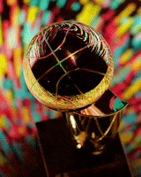 200.gif?cid=fc005b084b65529aa8780d956d739094381adae03af3f236&rid=200.gif&ct=g