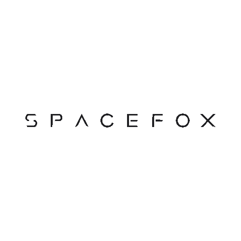 Spacefox Sticker