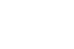 Platinum University Sticker